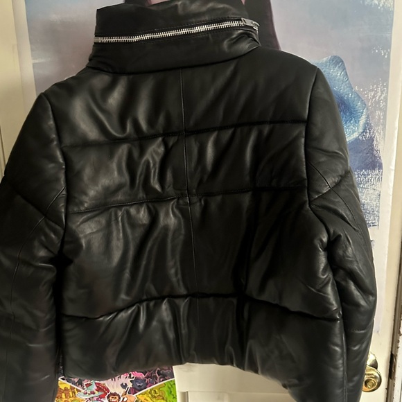 Walter baker puff jacket, never worn, tag still attached - Picture 3 of 3